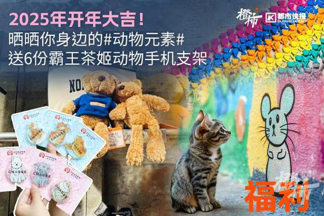 、霸王茶姬动物手机支架……橙柿超多福利送送送米乐体育M6直播平台时髦人都有的巴拉克拉法帽(图2)
