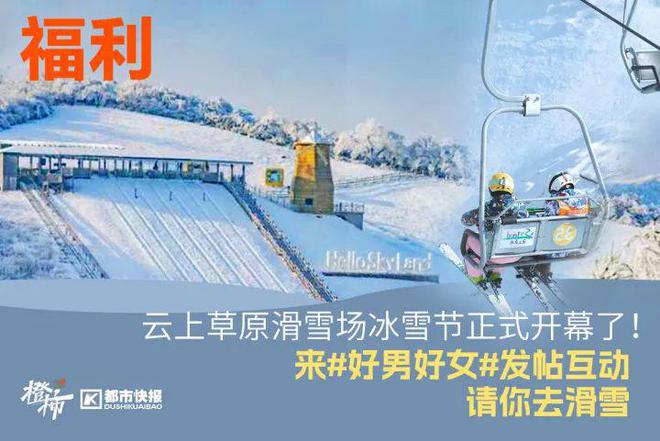 、霸王茶姬动物手机支架……橙柿超多福利送送送米乐体育M6直播平台时髦人都有的巴拉克拉法帽(图4)